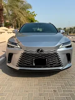 Lexus RX-Series