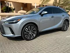 Lexus RX-Series