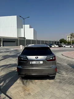 Lexus RX-Series
