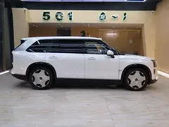 Zeekr 9X