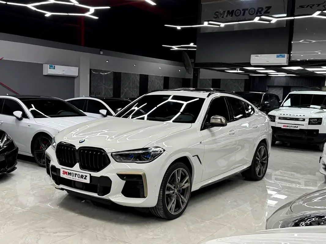 BMW X6