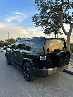 BYD Leopard Titanium 7