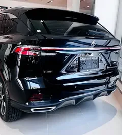 MG HS