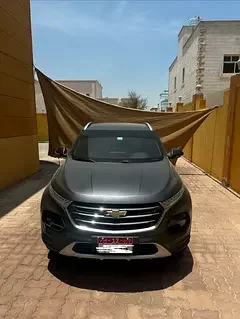 Chevrolet Groove