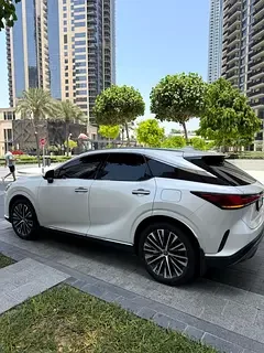 Lexus RX-Series