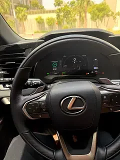 Lexus RX-Series