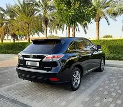 Lexus RX-Series