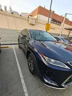 Lexus RX-Series