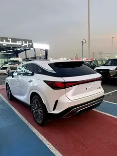 Lexus RX-Series