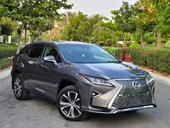 Lexus RX-Series