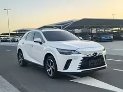 Lexus RX-Series