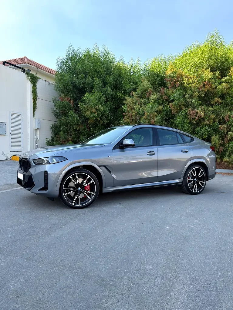 BMW X6