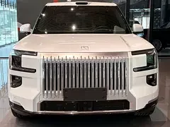 Zeekr 9X