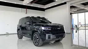 BYD Leopard 8