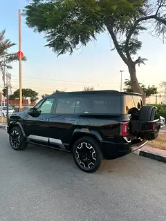 BYD Leopard 8