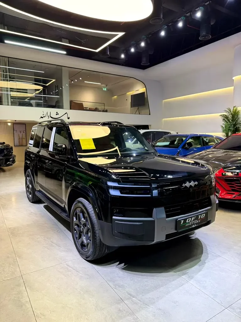 BYD Leopard Titanium 7