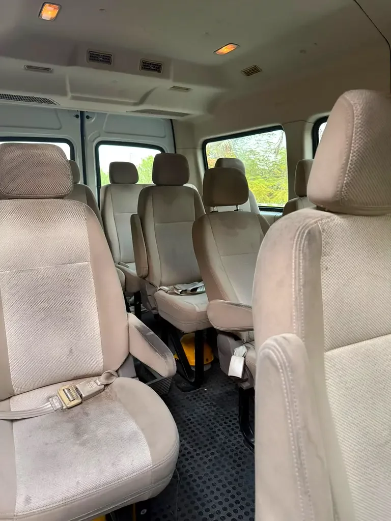 Maxus V80