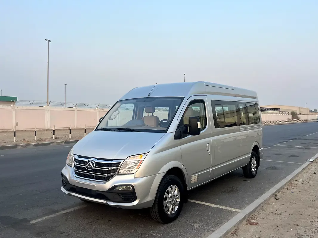 Maxus V80