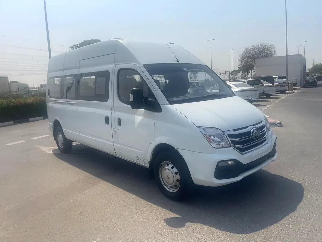 Maxus V80