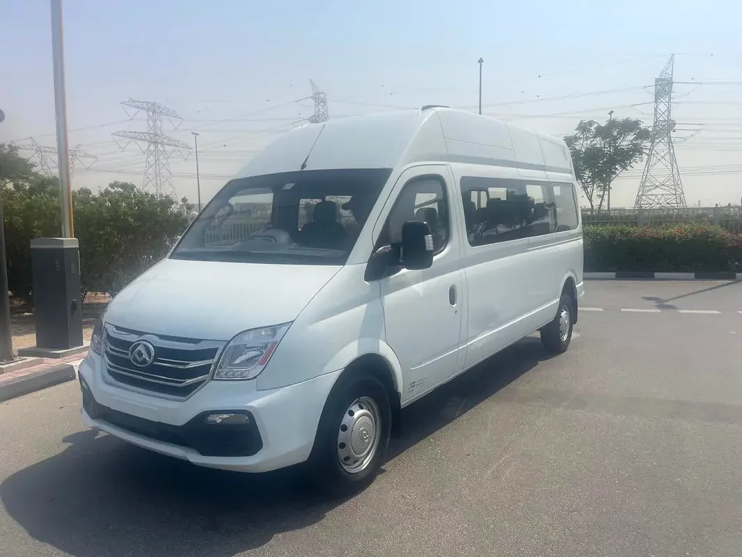Maxus V80