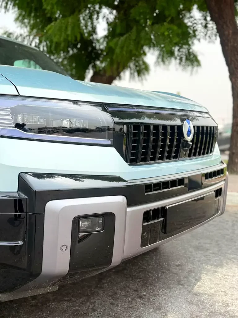 Denza B8