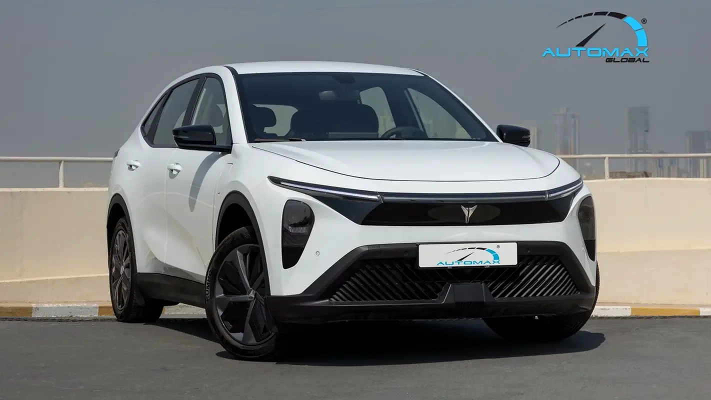 LS Auto LEV01