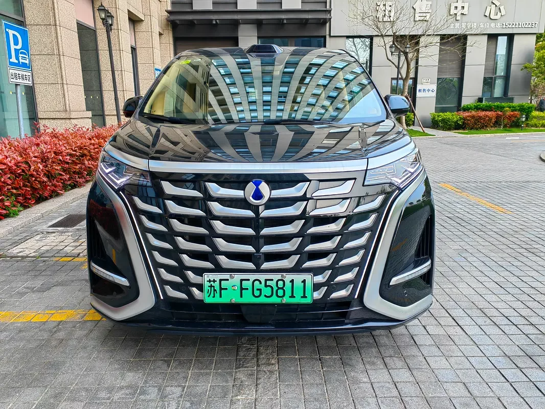 Denza D9