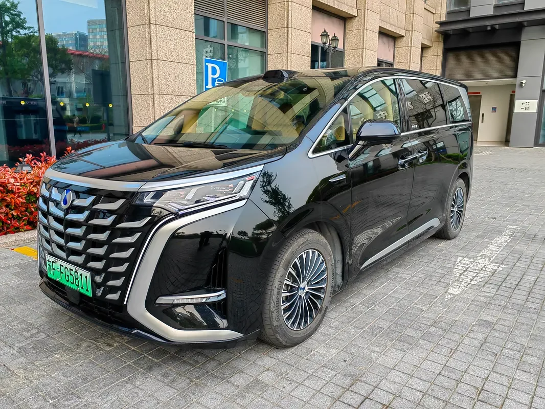Denza D9