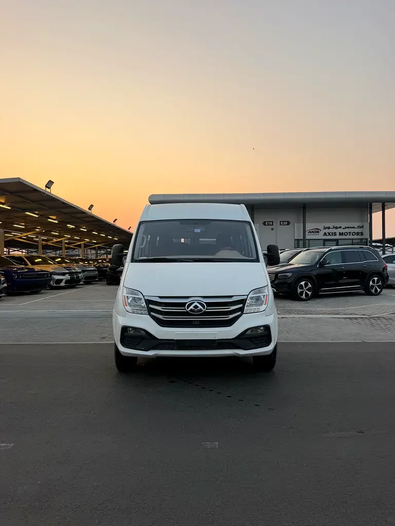 Maxus V80