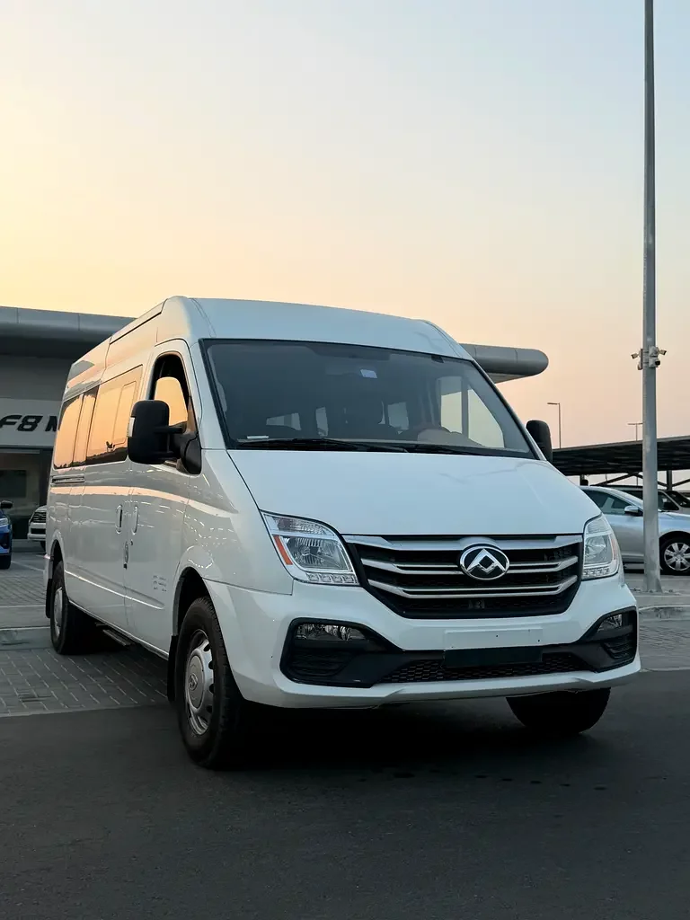 Maxus V80