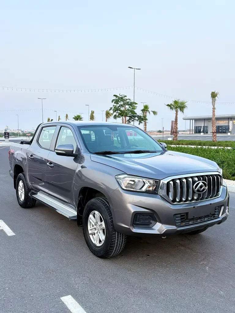 Maxus T60