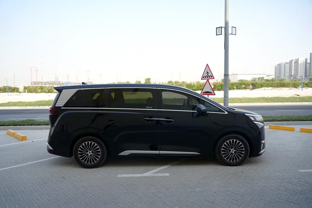 Denza D9